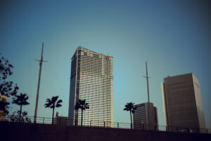 写真作品