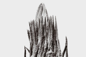 写真作品
