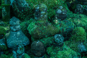 写真作品