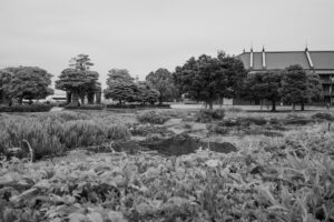 写真作品