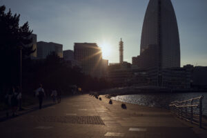 写真作品