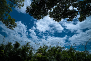 写真作品