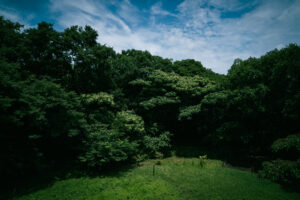 写真作品
