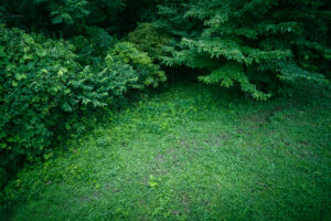 写真作品