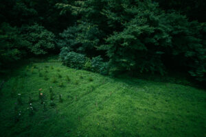 写真作品