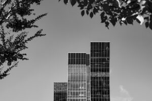 写真作品