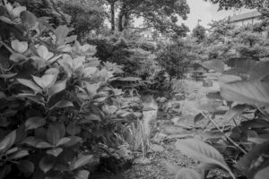 写真作品