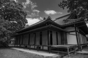 写真作品