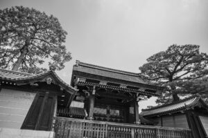 写真作品