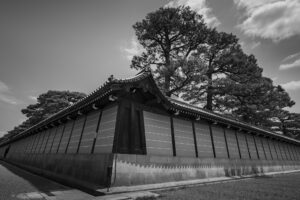 写真作品