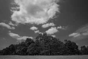 写真作品