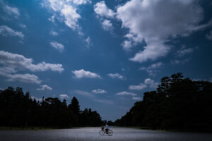 写真作品