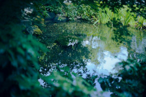 写真作品