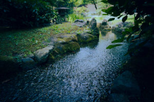 写真作品