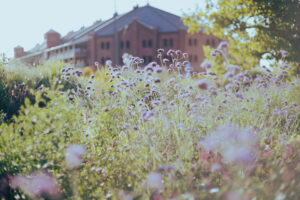 写真作品