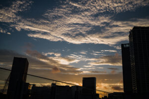 写真作品