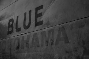 写真作品