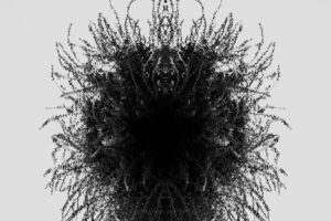 写真作品