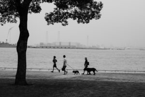 写真作品