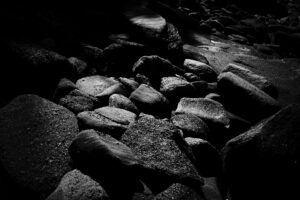 写真作品