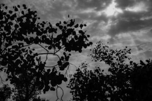 写真作品