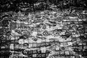 写真作品