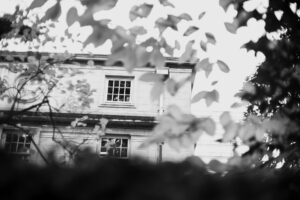 写真作品