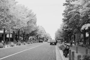 写真作品