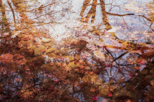 写真作品