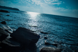 写真作品
