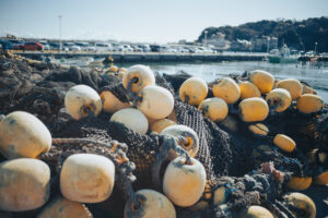 写真作品