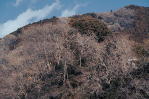 写真作品