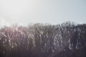 写真作品