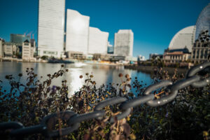 写真作品