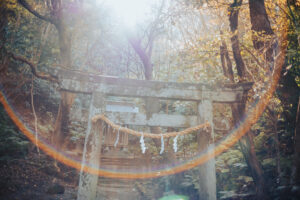 写真作品