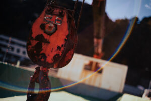 写真作品