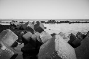 写真作品