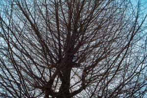 写真作品