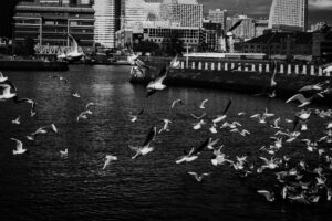 写真作品