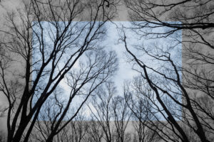写真作品