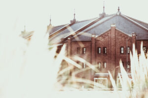 写真作品