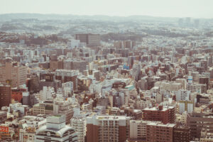 楽しい中望遠 APO-SKOPAR 90mm
