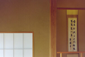 写真作品