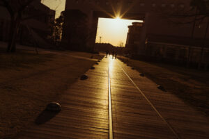 写真作品