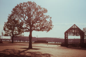 写真作品