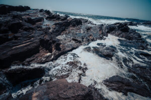 写真作品