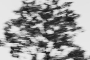 写真作品