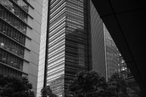 写真作品