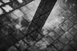 写真作品