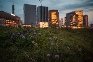 写真作品